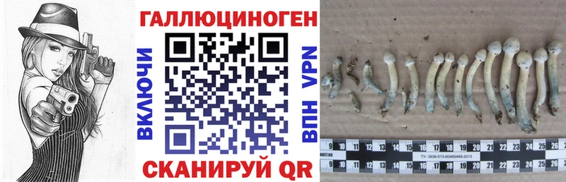 закладки  Орск  Псилоцибиновые грибы ЛСД 